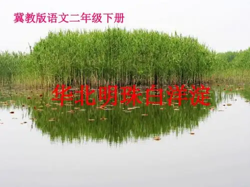 冀教版小学二年级语文下册《华北明珠白洋淀》PPT课件