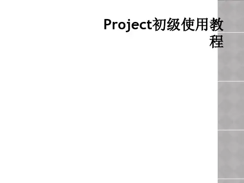 Project初级使用教程