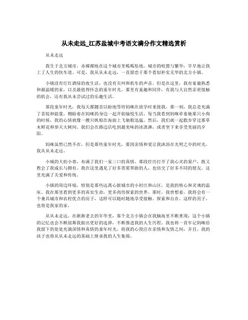 从未走远_江苏盐城中考语文满分作文精选赏析