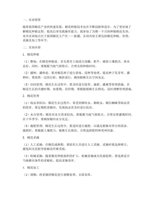 种植棉花的实训总结报告