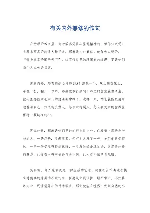 有关内外兼修的作文
