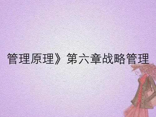 管理原理第六章战略管理