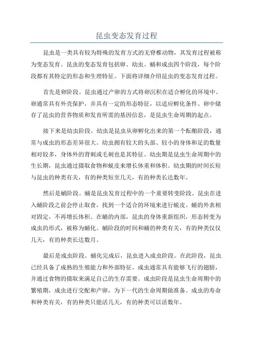 昆虫变态发育过程