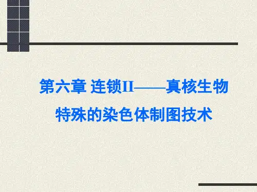 生物学-遗传学第六章全