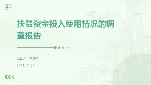 扶贫资金投入使用情况的调查报告
