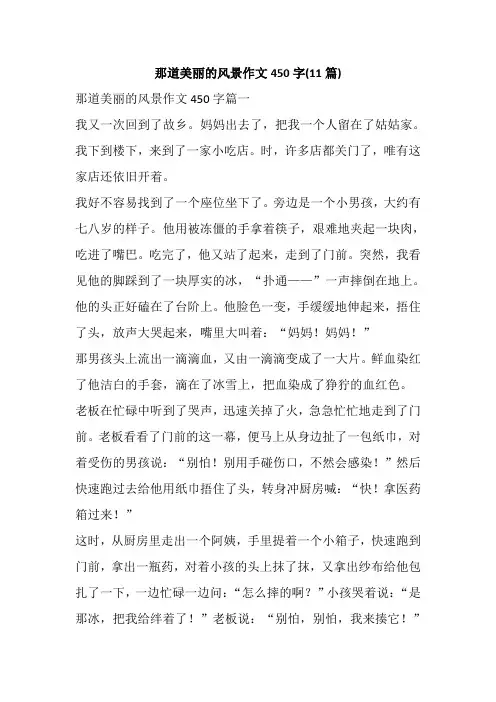 那道美丽的风景作文450字(11篇)