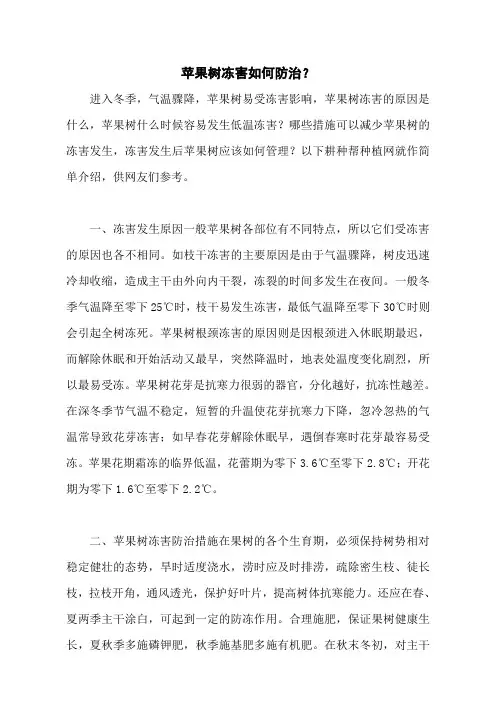 苹果树冻害如何防治？