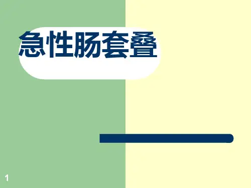 肠套叠PPT课件