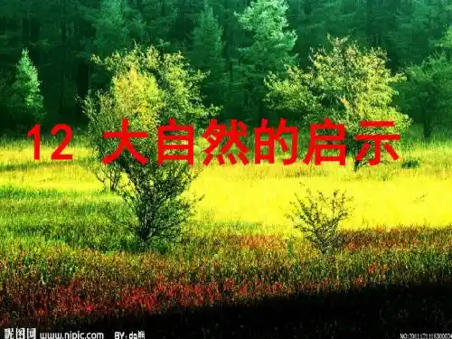 12 大自然的启示