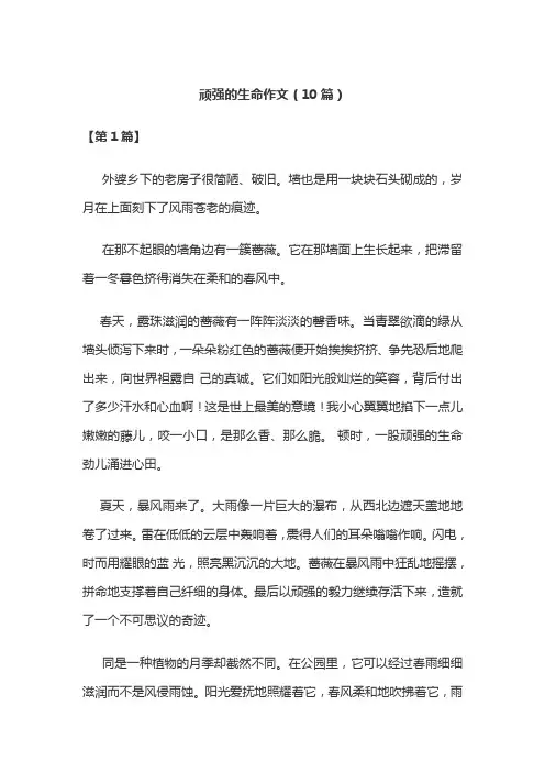 顽强的生命作文(10篇)