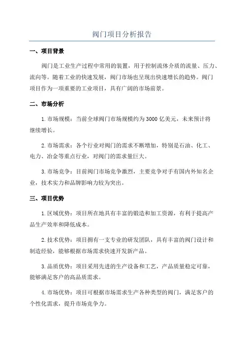 阀门项目分析报告