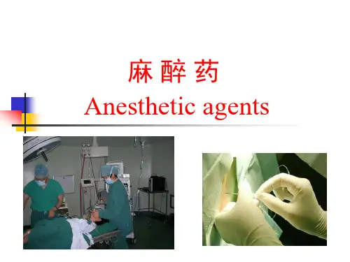 药物化学 第四章 麻醉药
