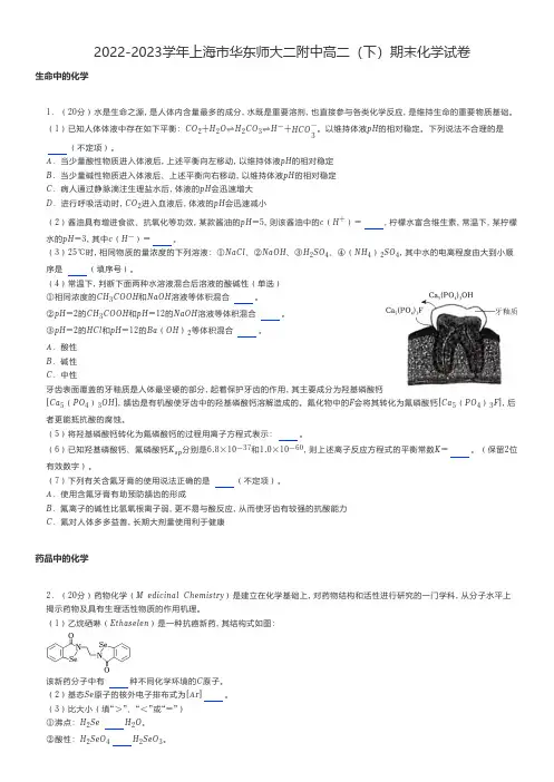 高中化学 2022-2023学年上海市高二(下)期末化学试卷 (2)