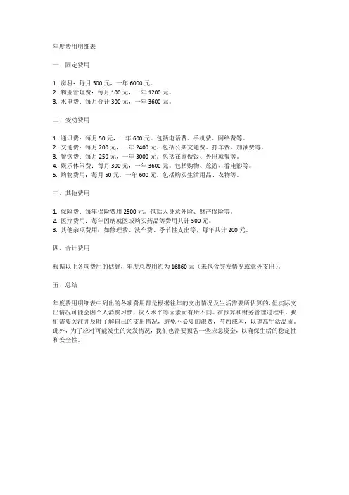年度费用明细表