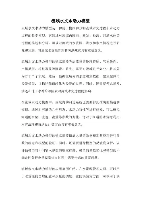 流域水文水动力模型