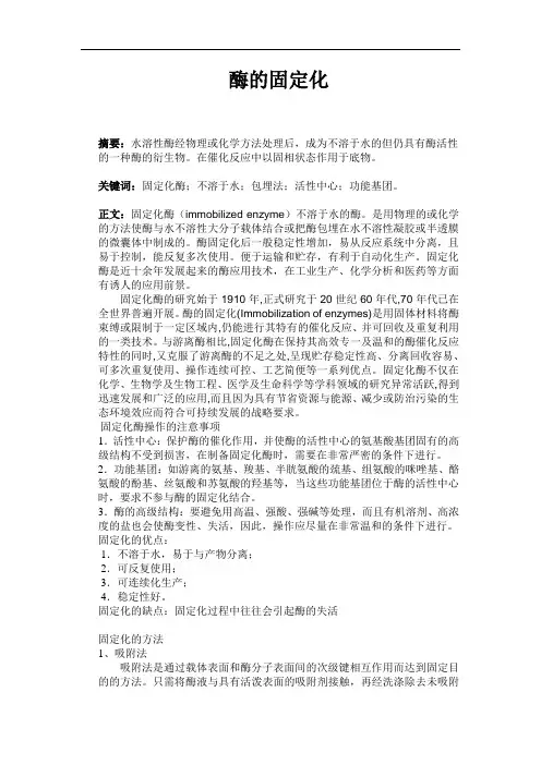 酶固定化