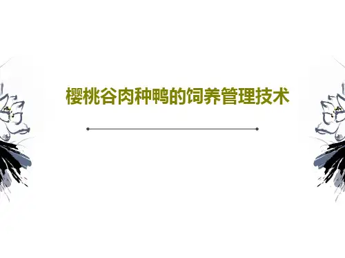 樱桃谷肉种鸭的饲养管理技术PPT共80页