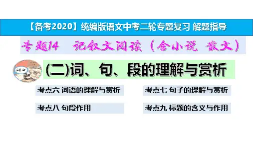 统编版中考语文二轮复习专题14记叙文阅读考点指导(二)词、句、段的理解与赏析