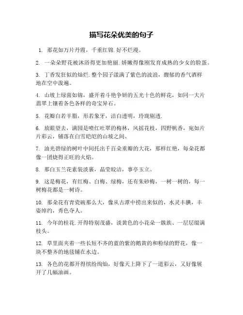 描写花朵优美的句子
