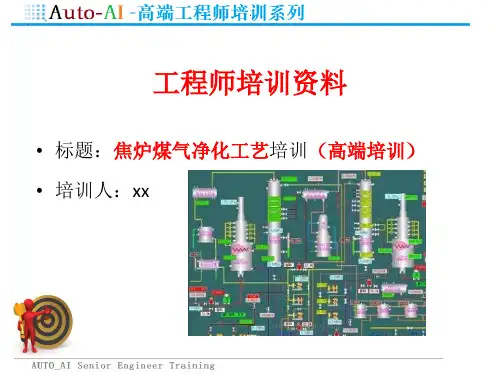 焦炉煤气净化工艺培训(高端培训)