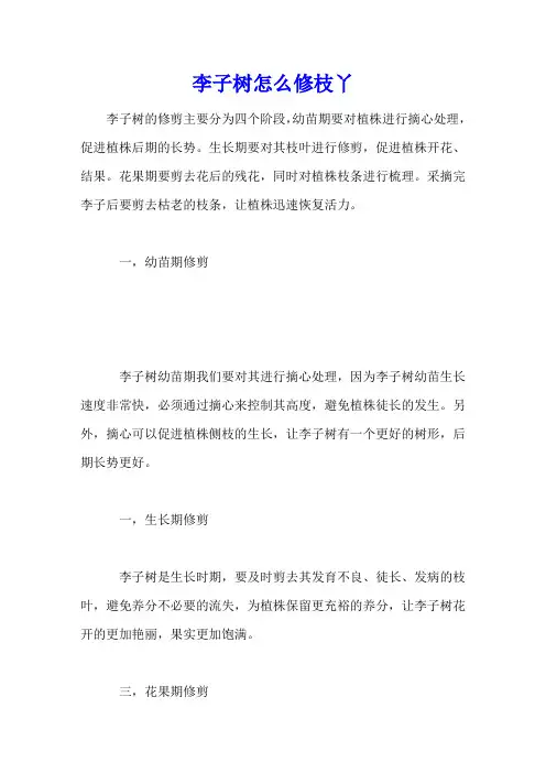 李子树怎么修枝丫