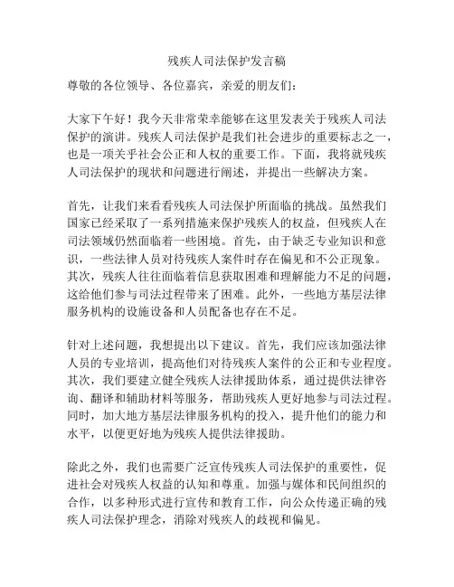 残疾人司法保护发言稿
