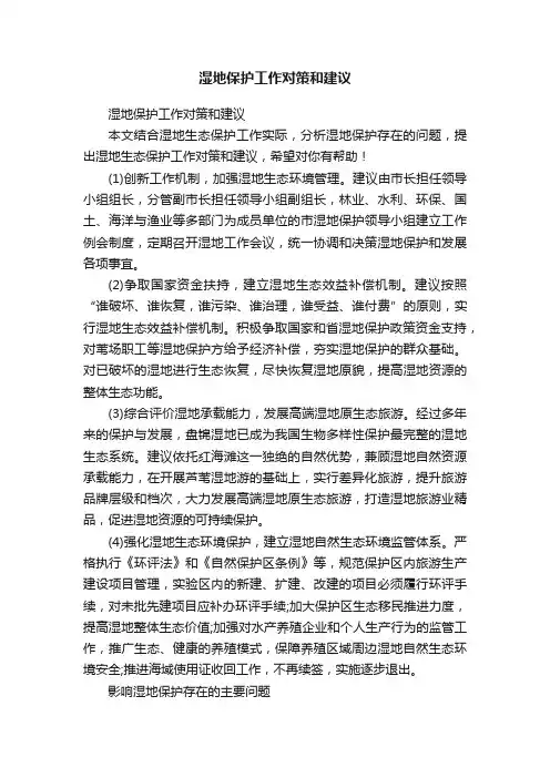 湿地保护工作对策和建议