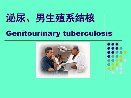 泌尿男生殖系结核(PPT 精品) 