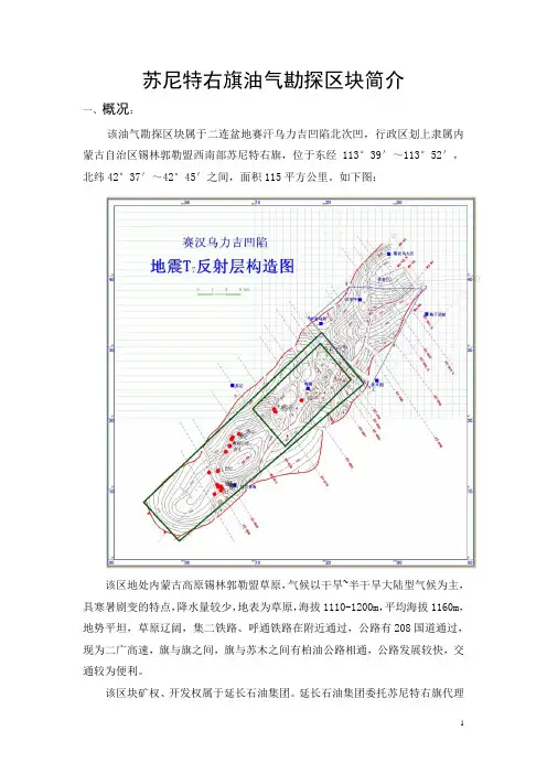 苏尼特右旗油气勘探区块简介