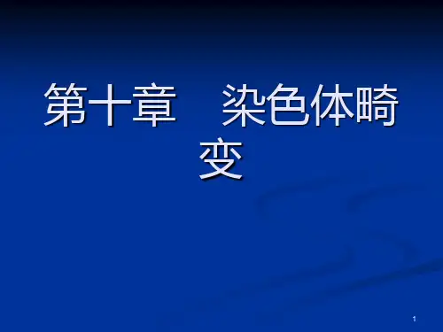 第9章  染色体畸变PPT课件