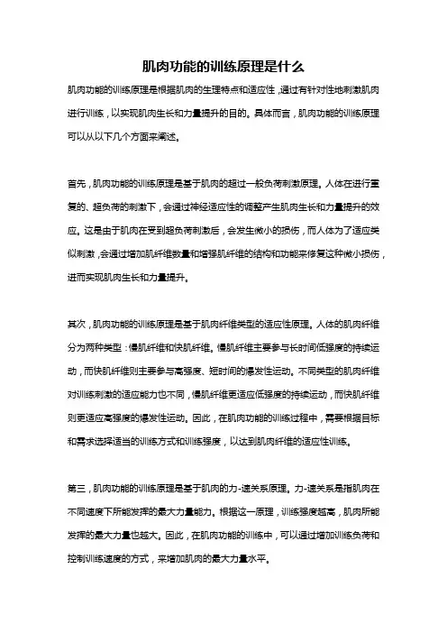 肌肉功能的训练原理是什么