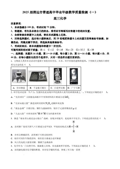 广东清远2025届高三上学期第一次模拟考试化学试题+答案