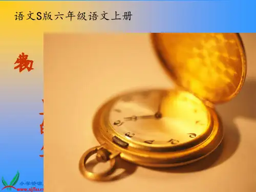 (语文S版)六年级语文上册 表里的生物