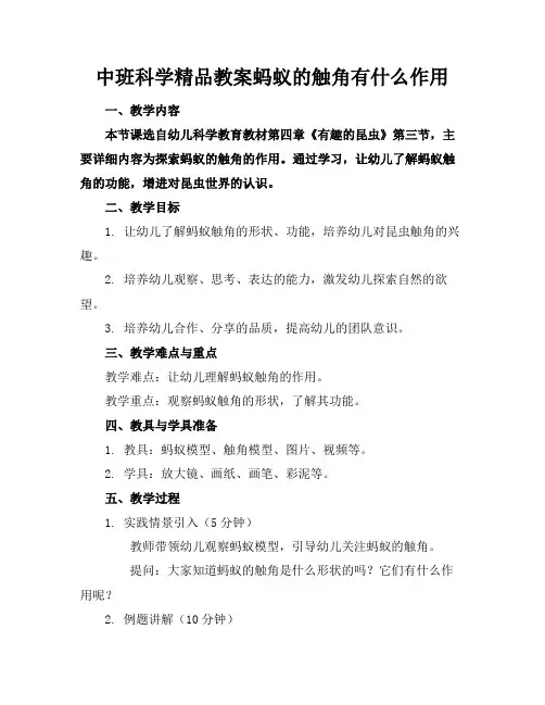 中班科学精品教案蚂蚁的触角有什么作用