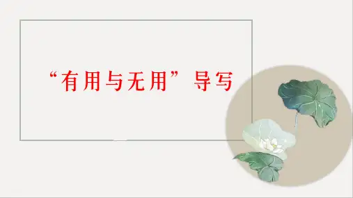 2023届高考写作指导：“有用与无用”作文导写+课件19张