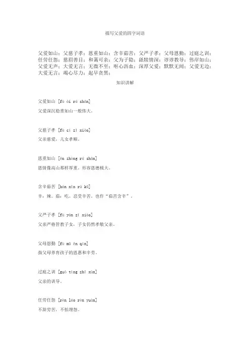 赞扬父爱的四字词语