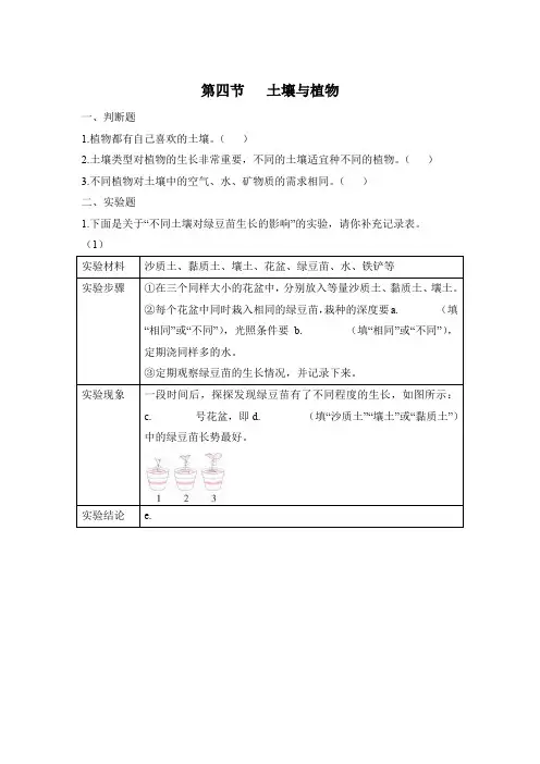 科学大象版三年级下册4-4 土壤与植物 同步练习