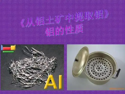 《从铝土矿中提取铝》课件25(17张PPT)(苏教版必修1)