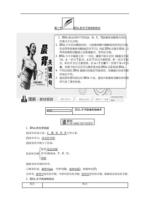 浙江高中生物必修二学案第三章第二节DNA的分子结构和特点