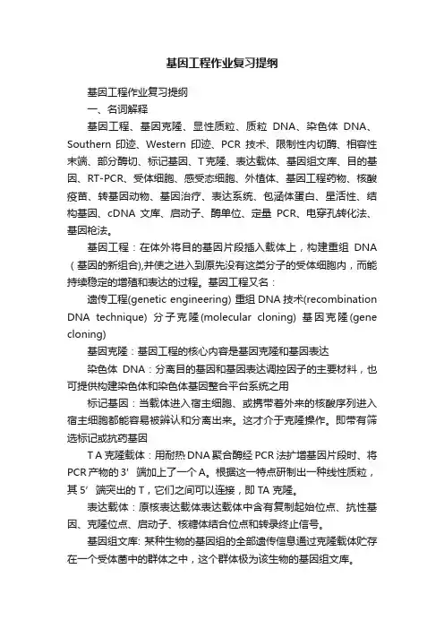 基因工程作业复习提纲