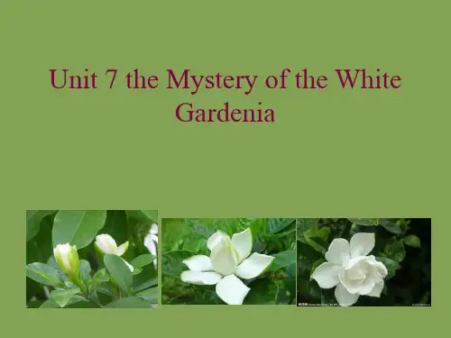 综合英语教程1 unit7 the mistery of the white gardenia
