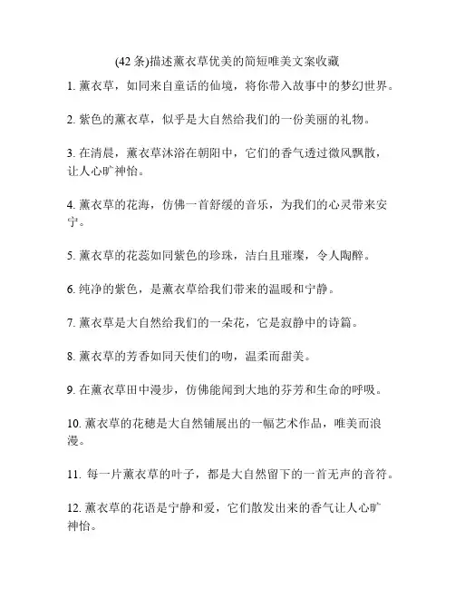 (42条)描述薰衣草优美的简短唯美文案收藏