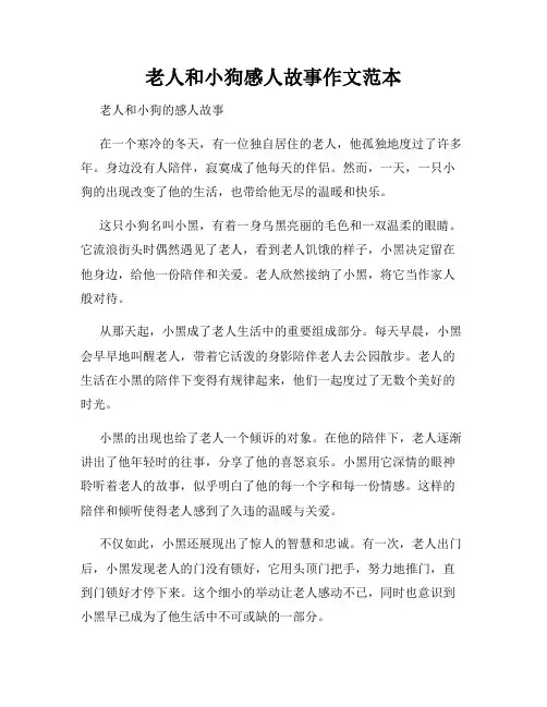 老人和小狗感人故事作文范本