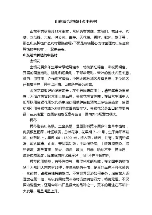 山东适合种植什么中药材