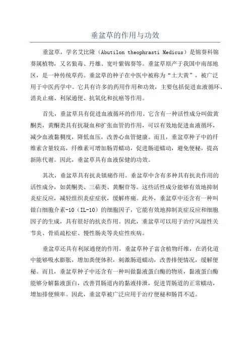 垂盆草的作用与功效