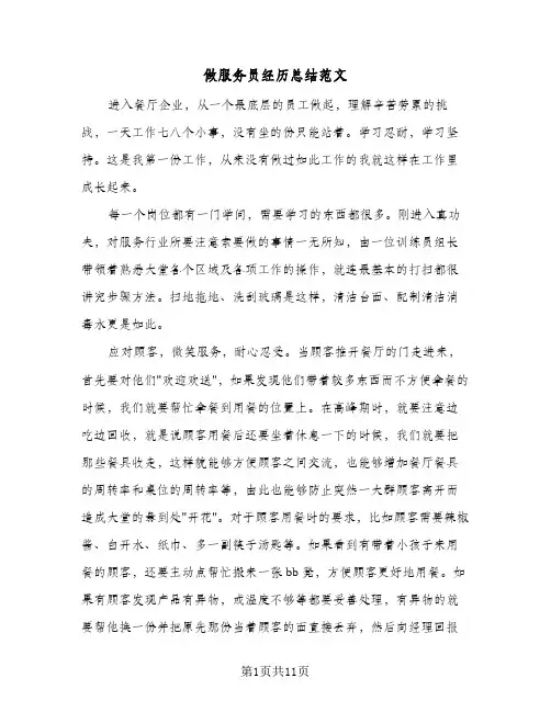 做服务员经历总结范文(五篇)