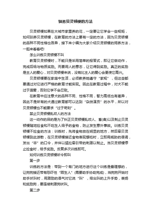 驯养贝灵顿梗的方法