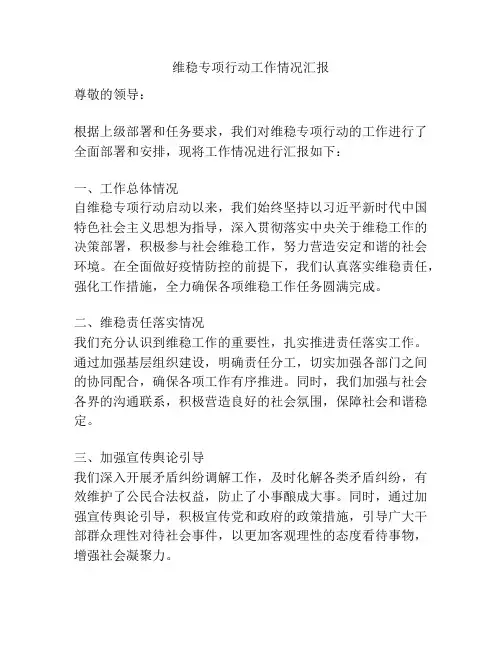 维稳专项行动工作情况汇报