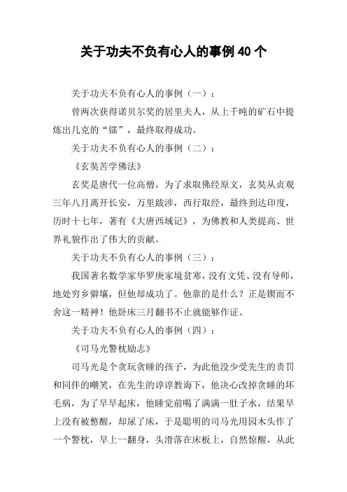 关于功夫不负有心人的事例40个