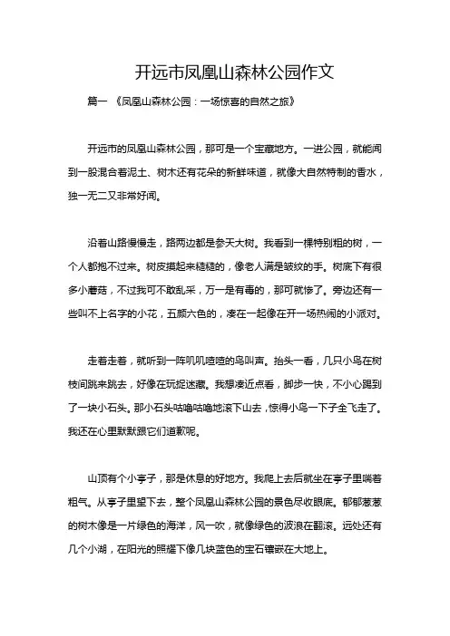 开远市凤凰山森林公园作文